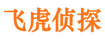 龙游飞虎私家侦探公司